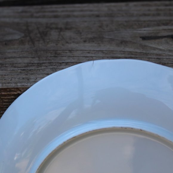 1950s MCM Vintage Flower Coffee Tea Mug Matching Plate Complete Set of 4 - Picture 12 of 16